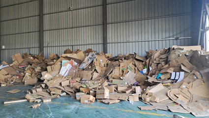 那些纸品回收项目前景究竟如何?